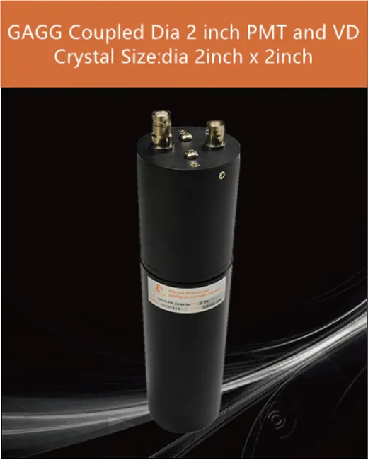 2 inch GAGG Detector