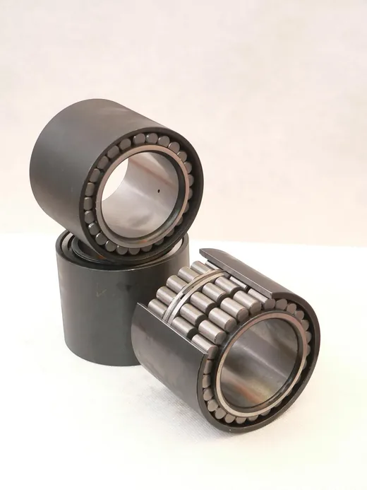 Detalle del conjunto de un rodamiento SL18 de Ascon