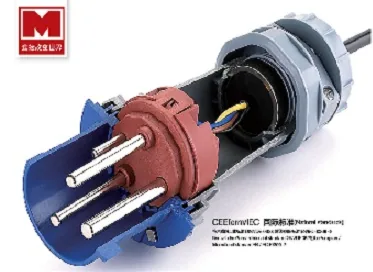 Plugs and Sockets