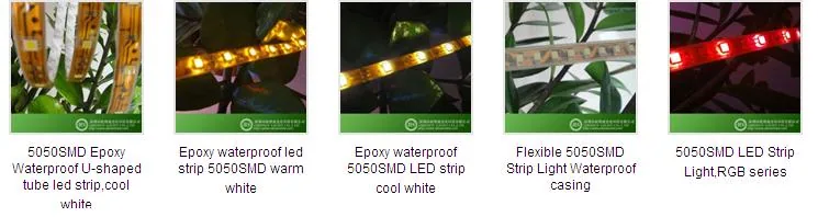 LED Strip Light specification