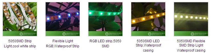 LED Strip Light specification