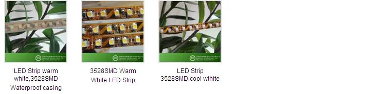 LED Strip Light specification