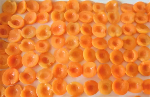 Rows of halved apricots arranged cut-side up on a light surface