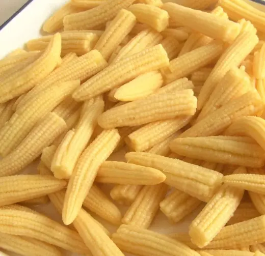 Pile of fresh yellow baby corn cobs heaped on a white plate