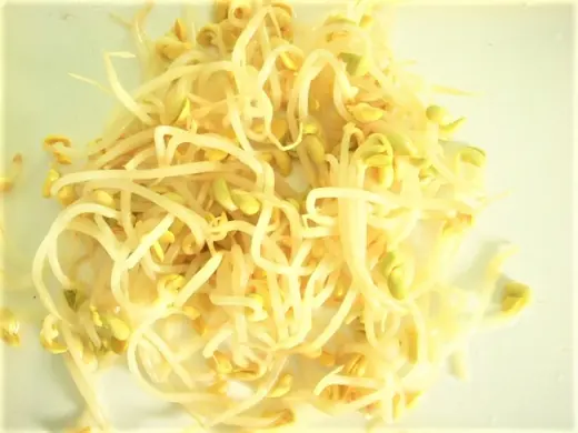 Fresh mung bean sprouts heaped on a plain white surface