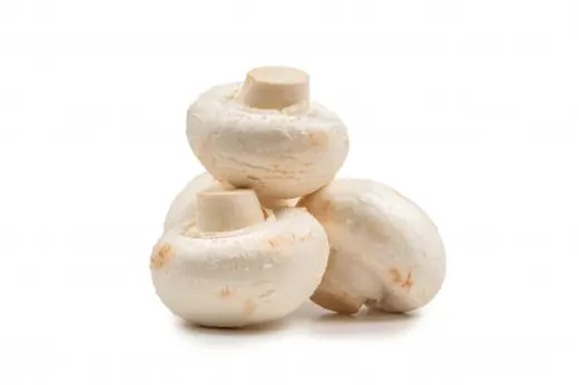 Canned champignon mushrooms with whole white caps in an open tin
