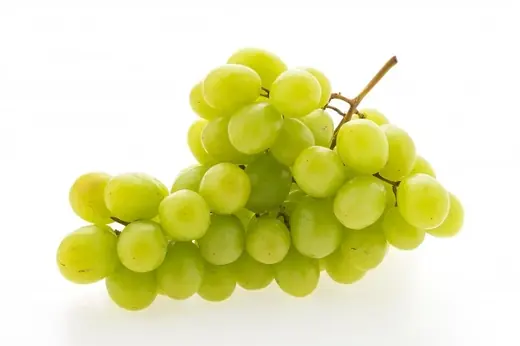 Bunch of fresh green grapes lying on a plain white background