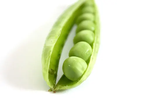 Open green pea pod with a row of