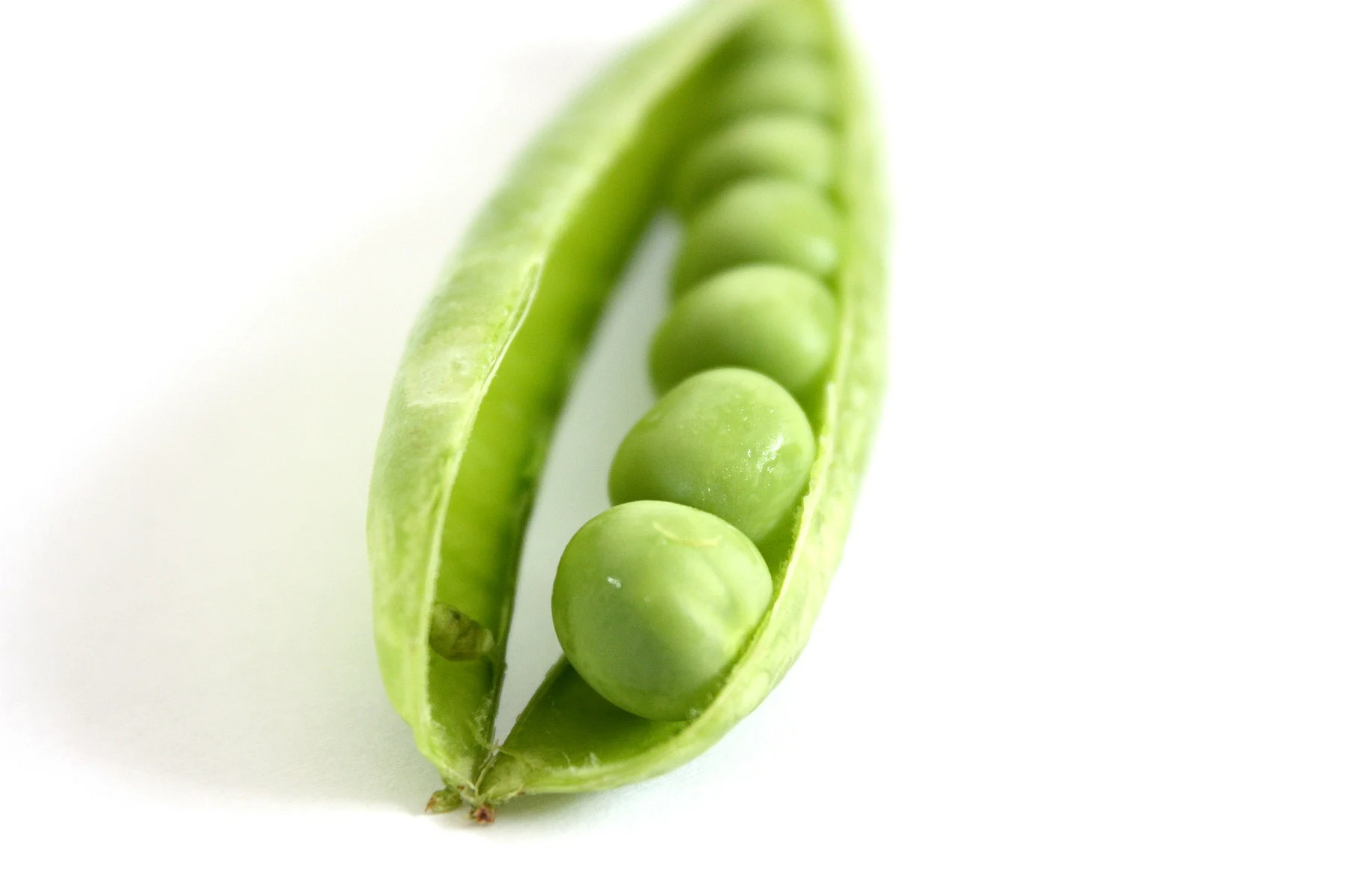 Open green pea pod with a row of