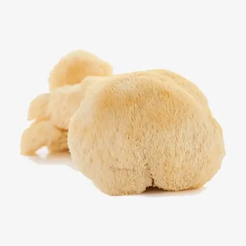 Fresh white mushroom with a fluffy, pom-pom-like texture isolated on a plain white background
