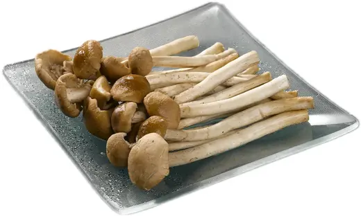 A square glass plate holding fresh mushrooms with long white stems and brown caps