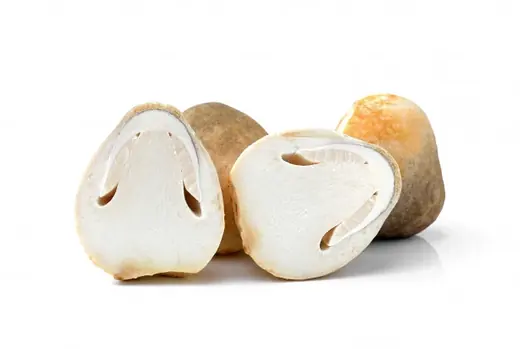 Fresh mushrooms, whole and halved to show white flesh, arranged on a plain white background