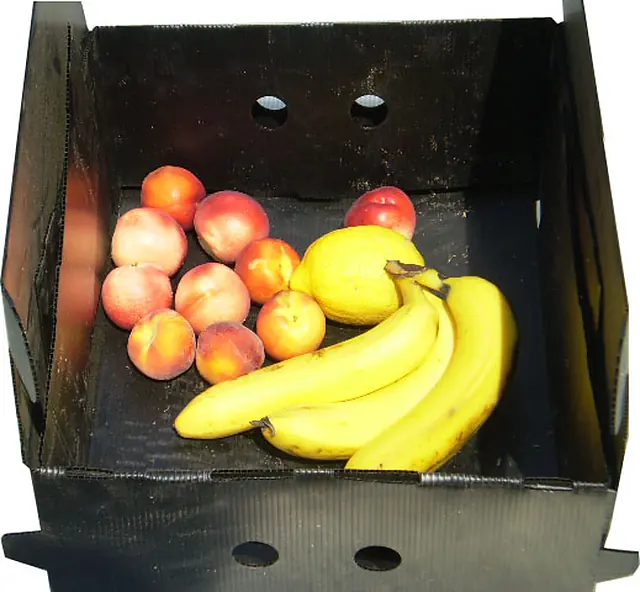 Agricultural Packaging Containers image 2