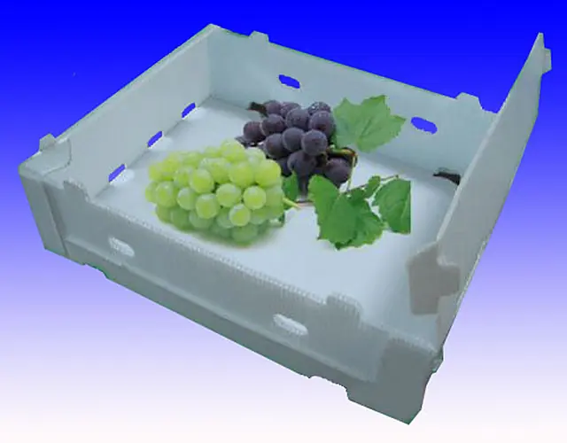 Agricultural Packaging Containers image 5