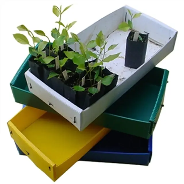 Agricultural Packaging Containers image 6