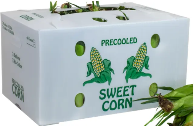 Agricultural Packaging Containers image 7