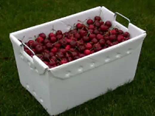 Agricultural Packaging Containers image 8