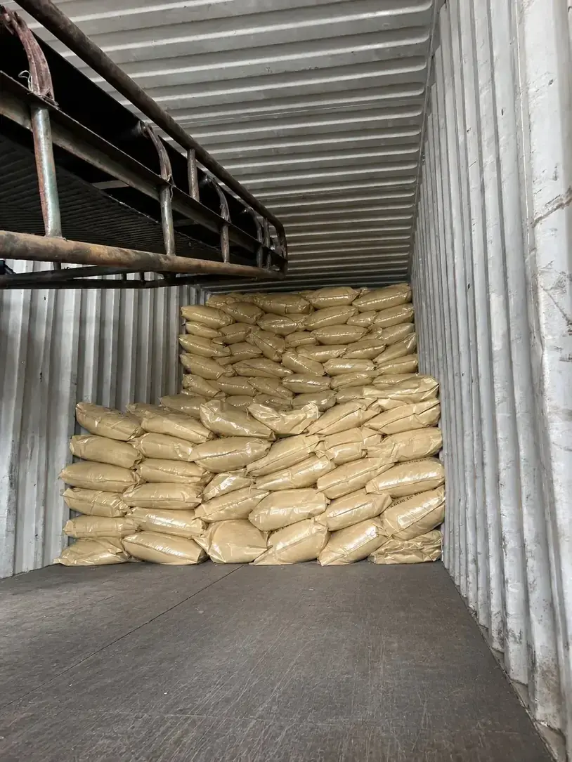 Container loading at the Everwell Bio warehouse in Suzhou