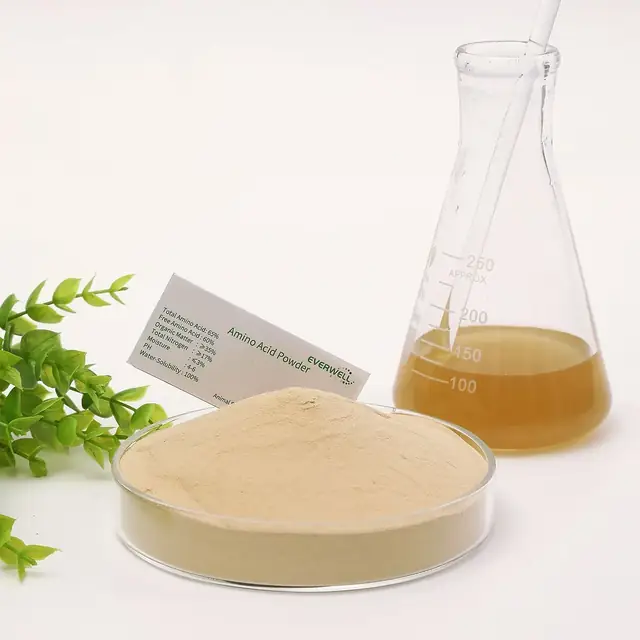 What Is Compound Amino Acid Powder? A Buyer's Guide