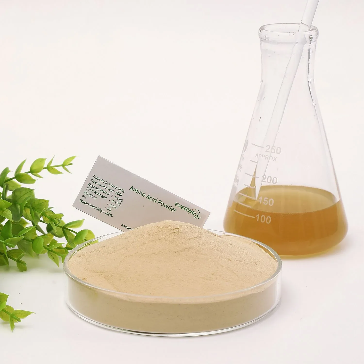 What Is Compound Amino Acid Powder? A Buyer's Guide