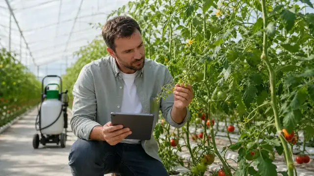 When to Apply Amino Acid Fertilizer: A Timing Guide