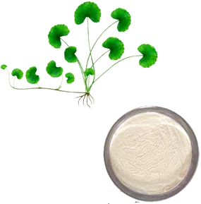 Centella Asiatica Extract