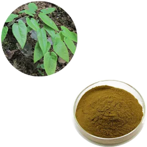 Epimedium Extract