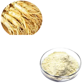 Ginseng Extract