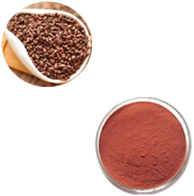 Grape Seed Extract