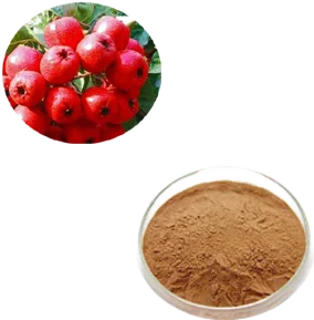 Hawthorn Extract