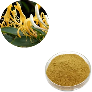 Honeysuckle Extract