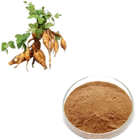 Kudzu Root Extract