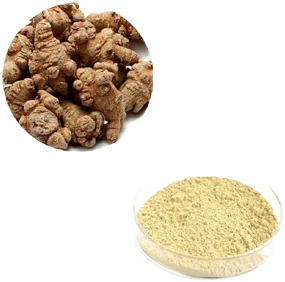 Notoginseng Extract