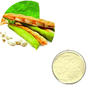 Soybean Isoflavone