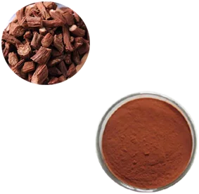 Tanshinone Extract