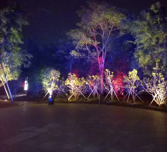 Park trees and planting lit in colour with outdoor LED flood lights