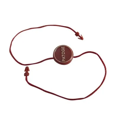 Plastic Tag with Embossed Logo Hang Tags and Seal Tags 2 supplied by BY Boyuan