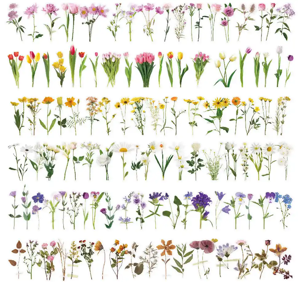Flower Sticker Package Waterproof Transparent Pet Hand Account Bullet supplied by BY Boyuan