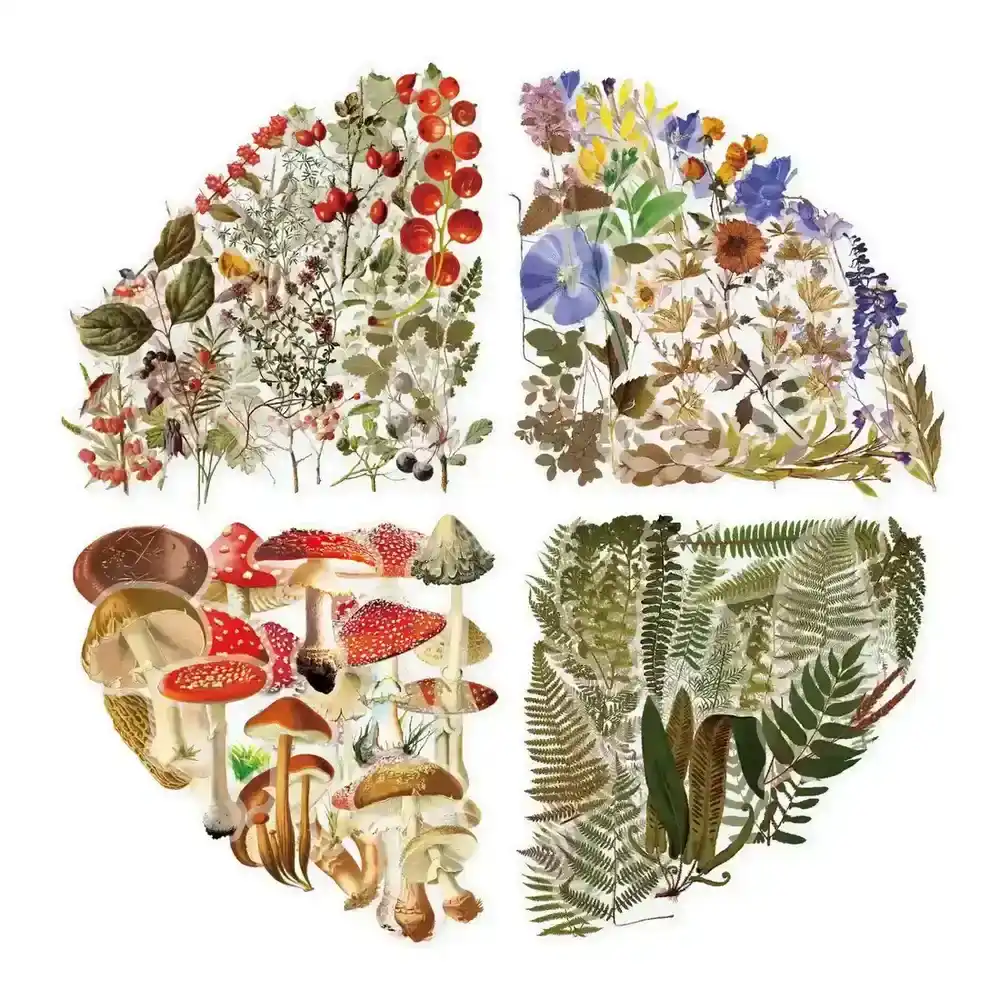 Plant Sticker Package Waterproof Transparent Pet Retro Flower Nature supplied by BY Boyuan