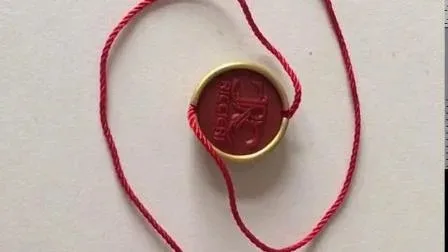 Seal Hang Tag with Loops Lock Various Designs supplied by BY Boyuan
