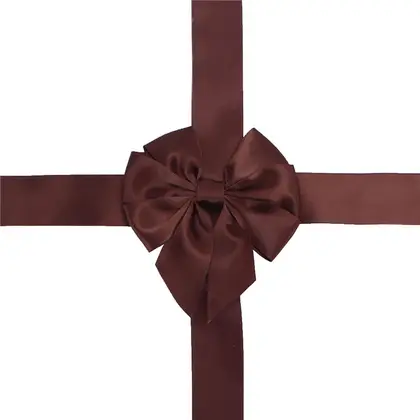 Gift Box Packaging Bow Ribbon Valentine's Day Perfume Red supplied by BY Boyuan