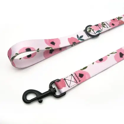 Polyester Printed Leash Pet Collar Dog supplied by BY Boyuan