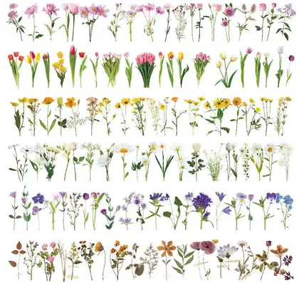 Flower Sticker Package Waterproof Transparent Pet Hand Account Bullet detail view 3
