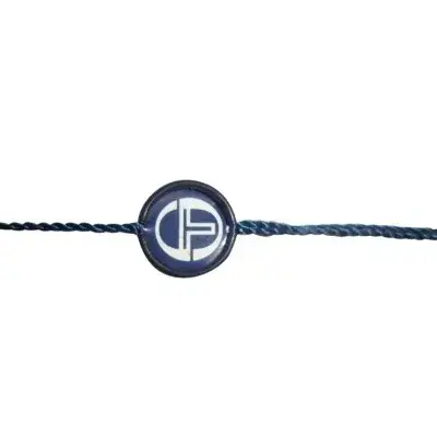 High Quality Metal Lacres for Fashion Handbag detail view 3