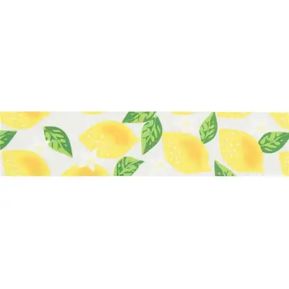 Midi Ribbon Heat Transfer Printing Ribbed Satin Belt Personalized detail view 2