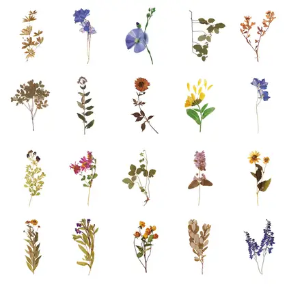 Plant Sticker Package Waterproof Transparent Pet Retro Flower Nature detail view 2