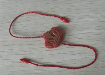 Seal Tag/plastic Seal/lacres PARA Roupa/ Lacre /plastic Tag BY80075 13 detail view 2
