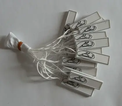 Self-customized Watch Listing Hanging Grain Plastic Rope Brand LOGO detail view 3