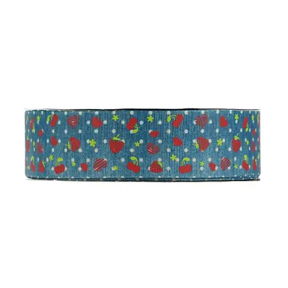 38mm Rib Belt Heat Transfer Printing Ink Strawberry Pattern detail view 2