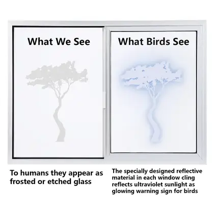 Transparent Window Stickers Protect Wild Birds from Impact Butterfly detail view 2